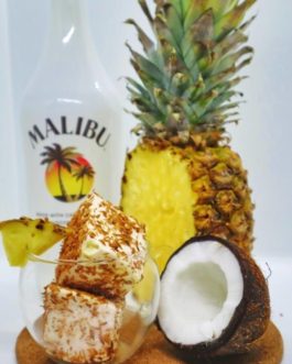 Piña colada gourmet square marshmallows