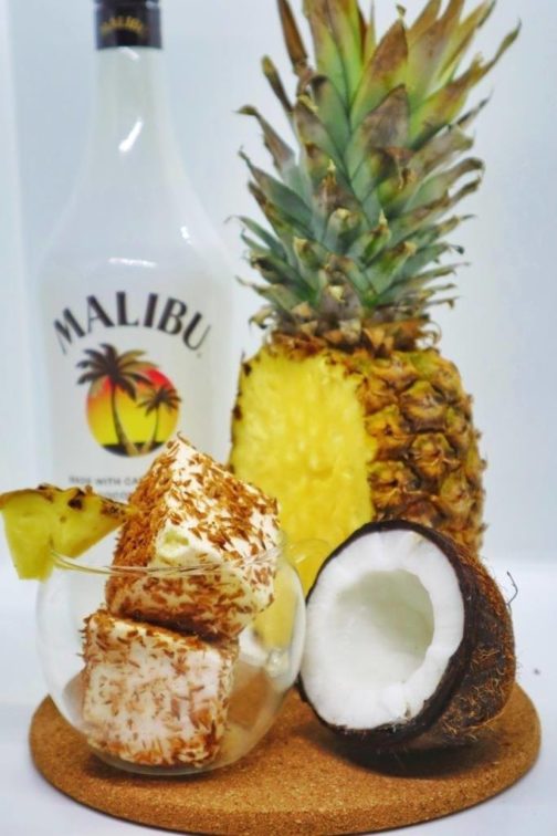 Piña colada gourmet square marshmallows